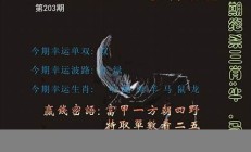 203澳门特码晚上开什么(澳门今晚开什么码特号最新35)