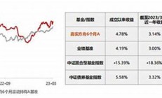 嘉实基金-嘉实固收+再出征_一年持有_追求稳稳的幸福(嘉实基金现在多少钱了)