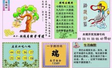 四肖八码精准资料期期准3(四肖八码精准资料期期准凤凰艺术)