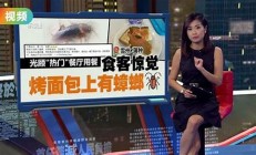 餐厅惊现野猪 食客围捕神操作成焦点