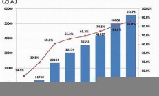 中国网络发展：上网方式的演变与技术革新