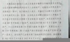 合肥房姐李梅房拍卖结束，拍卖市场回顾