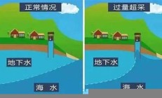 海水倒灌对沿海农业和渔业的危害分析(海水倒灌会引起什么)