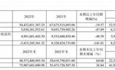 中国中免将在青岛打造免税城