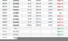 嘉实瑞享定期开放灵活配置混合型基金