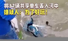 共享单车被丢入河流，带来的环保问题与解决方案(共享单车破坏现况)