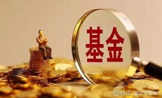 2022年什么是基金资料,海量收录.完整版(请问一下基金是什么)