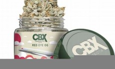 cbx币最新价格(全真CBX价格)