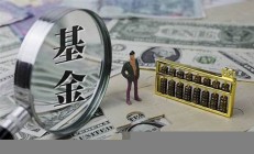 基金公司-基金业务-基金净值查询