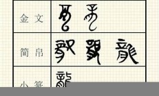 甲骨文中的“人”字及其象形意义探讨(甲骨文人字的意思)