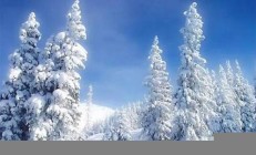 冬季雪景 全国多地加入下雪群聊(全国各地都在下雪)