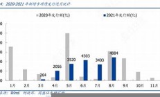 央企专项债发行现状与中信证券分析报告