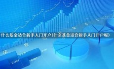 基金入门_简单开户_平台专业_放心交易(基金开放接口)