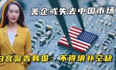 中国立案调查美国芯片公司，行业专家对未来的预测(美国芯片设备)