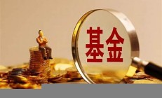 基金和股票那个好每日净值走势-私募排排网(基金和股票哪个值得买)