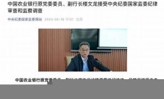 楼文龙被捕，农行如何面临舆论压力(楼文钢简历)