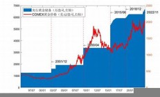 黄金价格波动对广州元投资者的影响(黄金价格波动及影响因素分析)