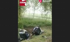 司机撞树身亡背后隐藏的骗保手段 保险公司如何应对(故意开车撞树保险拒绝赔偿)