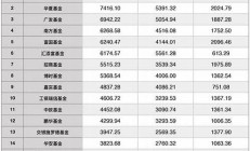 中国对冲基金公司排名_百万投资明智之选_100万起投榜单产品(中国对冲基金发展现状)