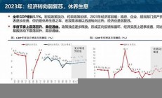 中信证券对消费品市场反弹的看法与建议(中信证券市场分析)