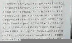 合肥房姐李梅房拍卖结束，影响深远的市场事件(合肥房产视频) - 副本