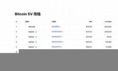 BSV费率最新消息-BSV费率今日行情-BSV费率最新价格(bsv币最新消息6月13日)