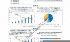 中国互联网发展：从“上网时代”到数字化社会(互联网发展)