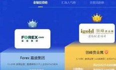 黄金基金投资,正规黄金基金投资-50美元炒黄金(黄金基金买哪家的比较好)