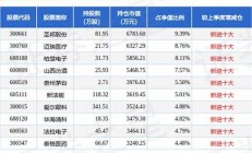 嘉实优质精选混合型证券投资基金-专注优质企业(嘉实优质混合a基金今天上市)