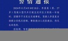 沈阳一汽车冲入早市撞伤13人